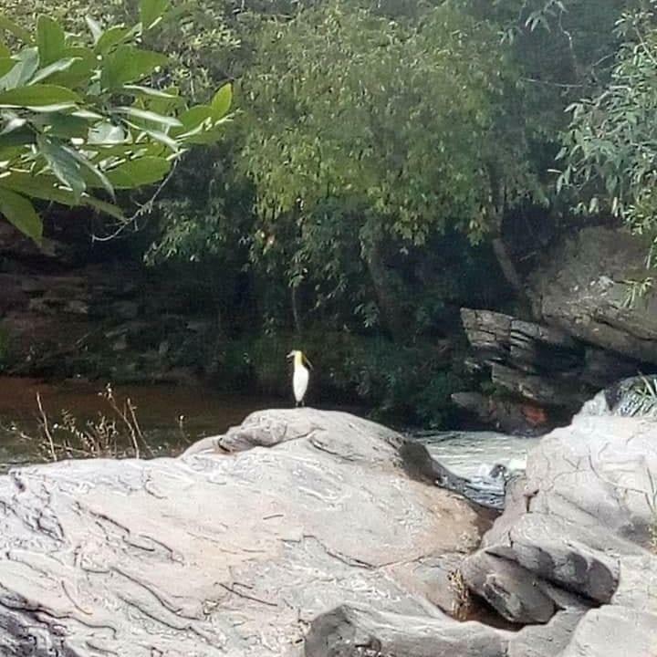 Pouso Do Rio Hotel Pirenópolis Kültér fotó